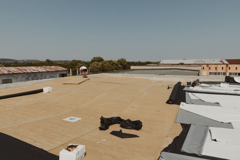 TPO Roof Installation Services